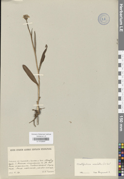 LE 01028267