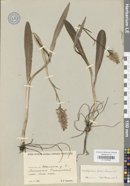 LE 01028268
