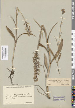 LE 01028269