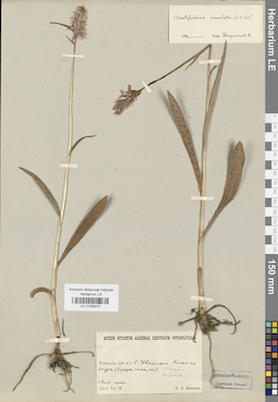 LE 01028272