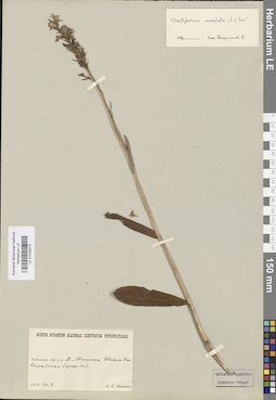 LE 01028273