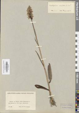 LE 01028274