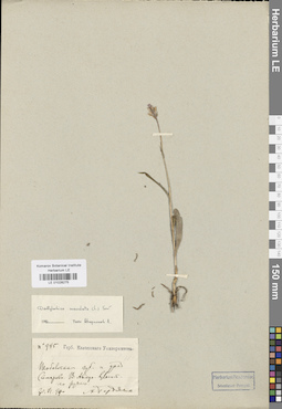 LE 01028275