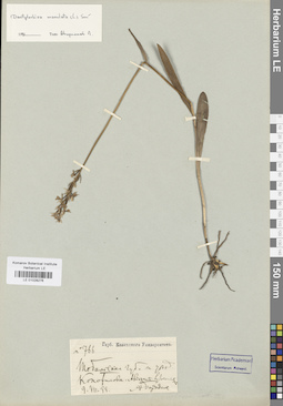 LE 01028276