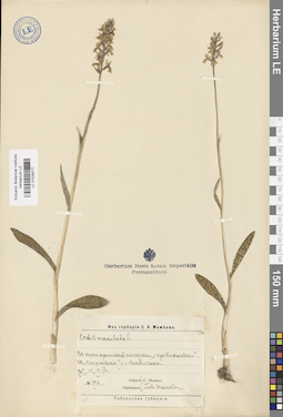LE 01028277