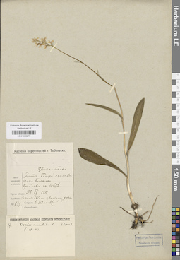 LE 01028278