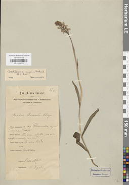 LE 01028279