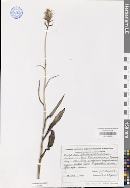 LE 01028282