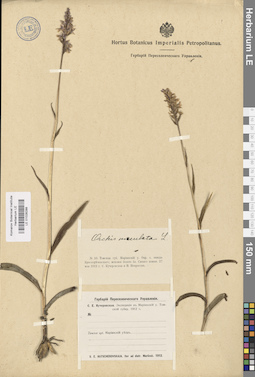 LE 01028288