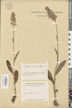 LE 01028289