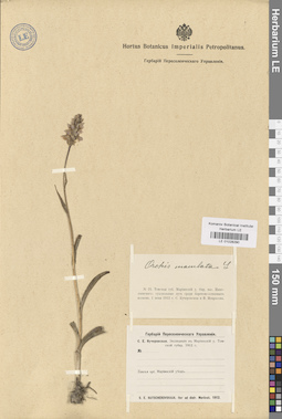LE 01028290