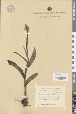 LE 01028291