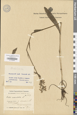 LE 01028292