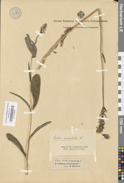 LE 01028293