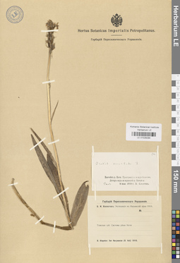 LE 01028294