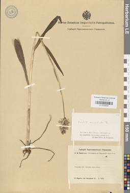 LE 01028297