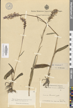 LE 01028303