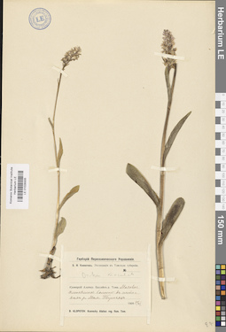 LE 01028305