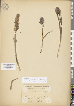 LE 01028494