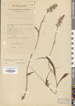 LE 01028695