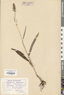 LE 01028696