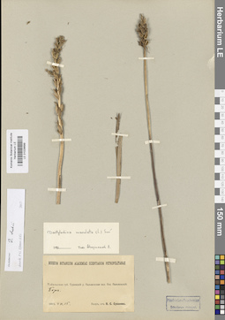 LE 01028699