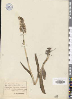 LE 01028706