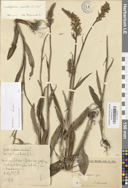 LE 01028707