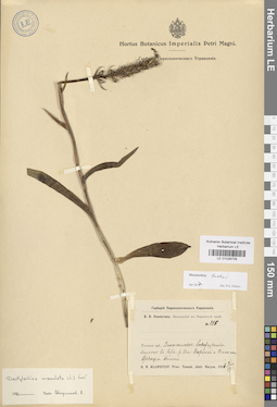 LE 01028709