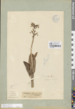 LE 01272506