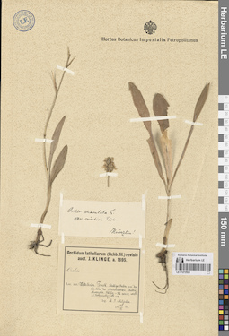 LE 01272528