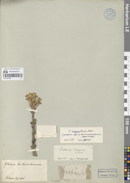 LE 01273120