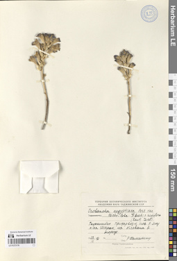 LE 01273178