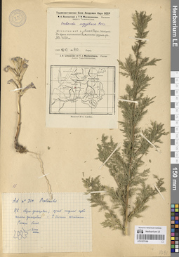 LE 01273180