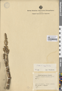 LE 01273206