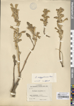 LE 01273225
