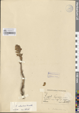 LE 01273260