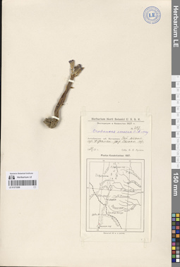 LE 01273268