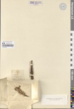 LE 01273312