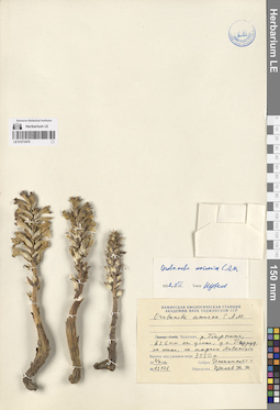 LE 01273475