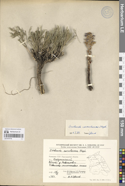 LE 01273716