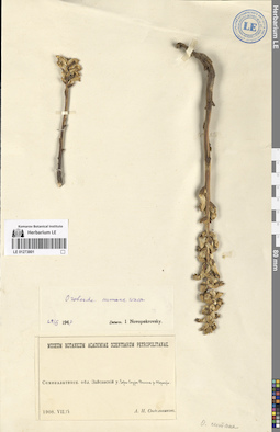 LE 01273801