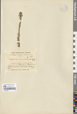 LE 01273896