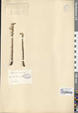 LE 01273903