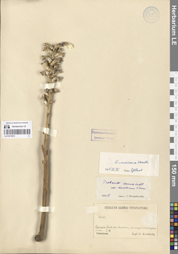 LE 01273915