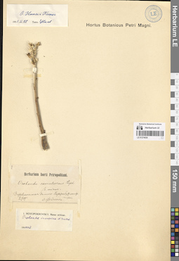 LE 01274030