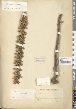LE 01274043