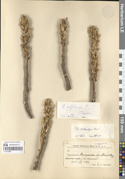LE 01274080