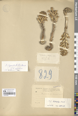 LE 01274102