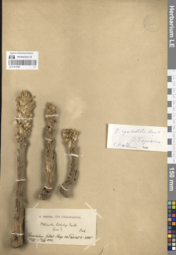 LE 01274108